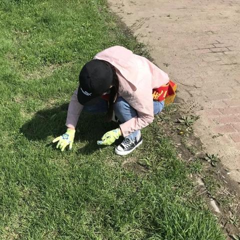 (异形战场2在线观看)异形战境免费观看国语版：全新的科幻经典，尽在您眼前展开！