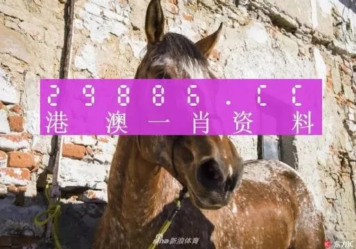 今晚一肖一码澳门一肖四不像|探寻城市里的美食秘密_按需版.3.229