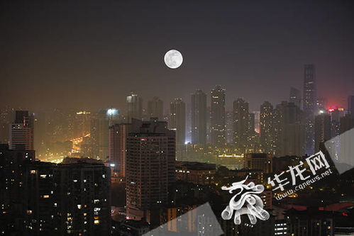 新奥今天最新资料晚上出冷汗|月夜下的星辰与梦想_HD品.5.3